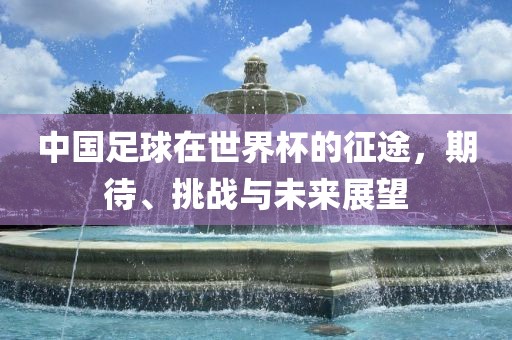中国足球在世界杯的征途，期待、挑战与未来展望