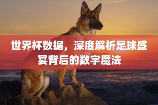 世界杯数据，深度解析足球盛宴背后的数字魔法
