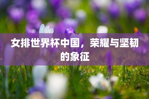 女排世界杯中国，荣耀与坚韧的象征