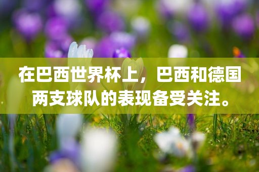 在巴西世界杯上，巴西和德国两支球队的表现备受关注。