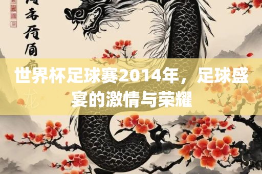 世界杯足球赛2014年，足球盛宴的激情与荣耀