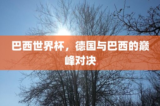 巴西世界杯，德国与巴西的巅峰对决