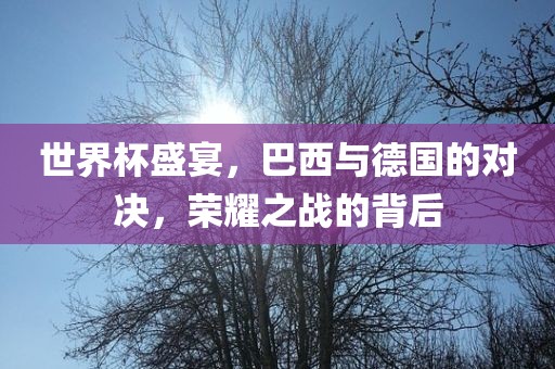 世界杯盛宴，巴西与德国的对决，荣耀之战的背后