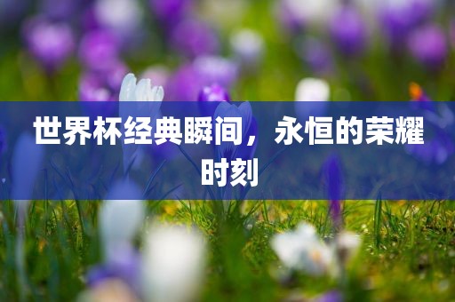 世界杯经典瞬间，永恒的荣耀时刻