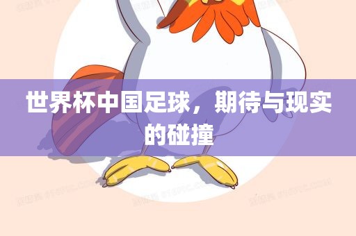 世界杯中国足球，期待与现实的碰撞