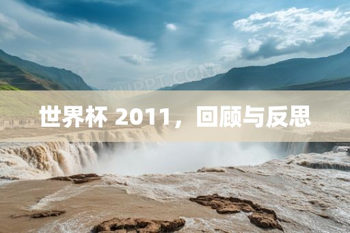 世界杯 2011，回顾与反思