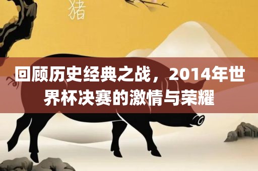 回顾历史经典之战，2014年世界杯决赛的激情与荣耀