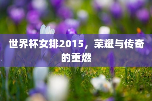 世界杯女排2015，荣耀与传奇的重燃