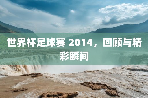 世界杯足球赛 2014，回顾与精彩瞬间