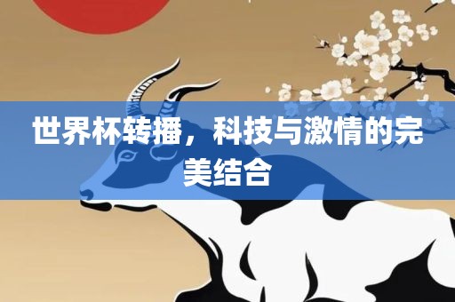 世界杯转播，科技与激情的完美结合