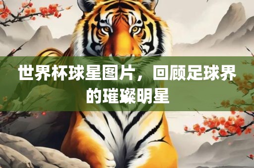 世界杯球星图片，回顾足球界的璀璨明星
