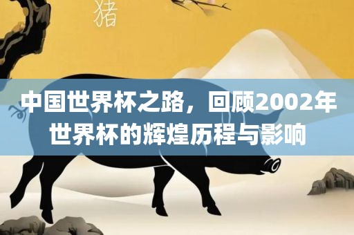 中国世界杯之路，回顾2002年世界杯的辉煌历程与影响