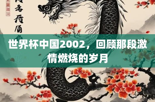 世界杯中国2002，回顾那段激情燃烧的岁月