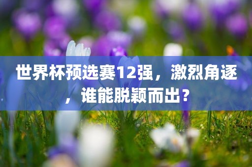 世界杯预选赛12强，激烈角逐，谁能脱颖而出？