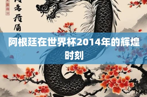 阿根廷在世界杯2014年的辉煌时刻