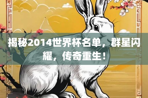 揭秘2014世界杯名单，群星闪耀，传奇重生！
