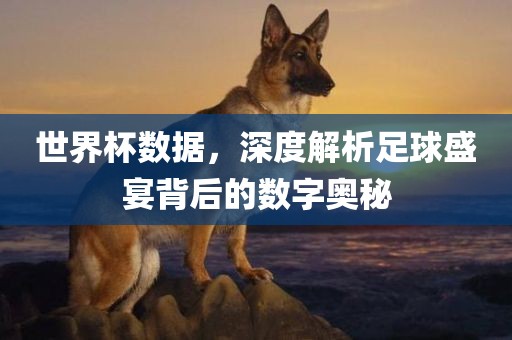世界杯数据，深度解析足球盛宴背后的数字奥秘