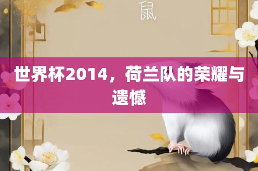 世界杯2014，荷兰队的荣耀与遗憾