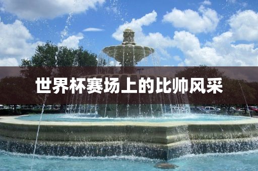 世界杯赛场上的比帅风采