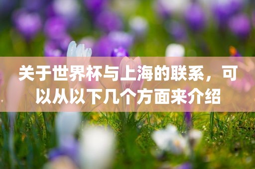 关于世界杯与上海的联系，可以从以下几个方面来介绍