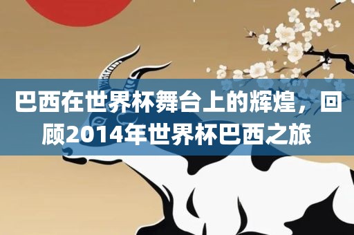 巴西在世界杯舞台上的辉煌，回顾2014年世界杯巴西之旅
