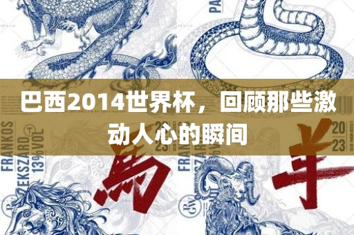 巴西2014世界杯，回顾那些激动人心的瞬间