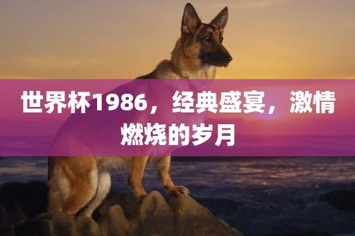世界杯1986，经典盛宴，激情燃烧的岁月