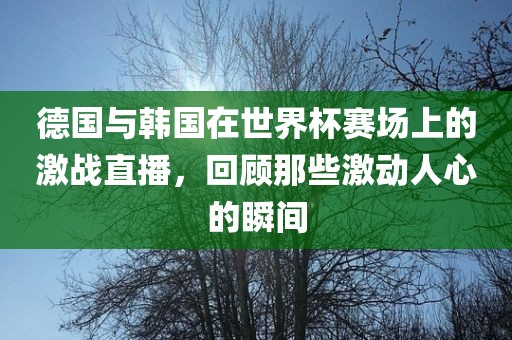 德国与韩国在世界杯赛场上的激战直播，回顾那些激动人心的瞬间