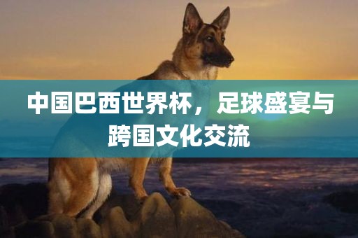 中国巴西世界杯，足球盛宴与跨国文化交流