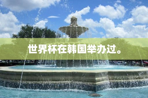 世界杯在韩国举办过。