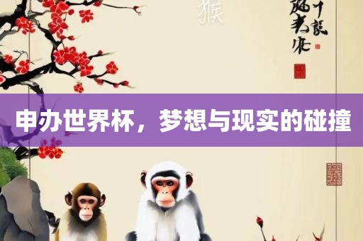 申办世界杯，梦想与现实的碰撞