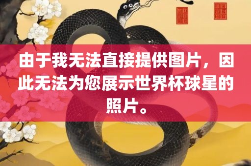 由于我无法直接提供图片，因此无法为您展示世界杯球星的照片。