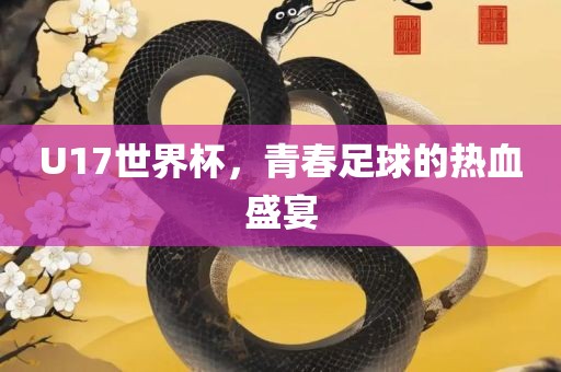 U17世界杯，青春足球的热血盛宴