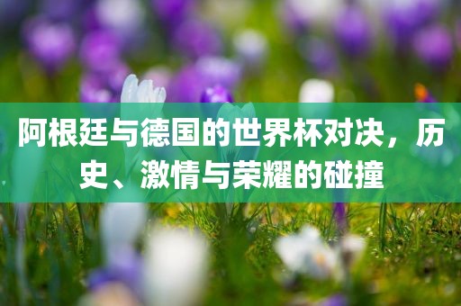 阿根廷与德国的世界杯对决，历史、激情与荣耀的碰撞