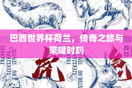 巴西世界杯荷兰，传奇之旅与荣耀时刻