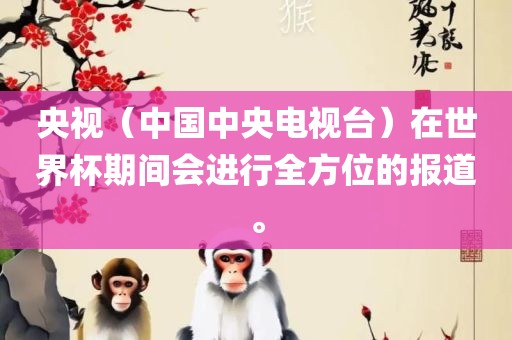 央视（中国中央电视台）在世界杯期间会进行全方位的报道。