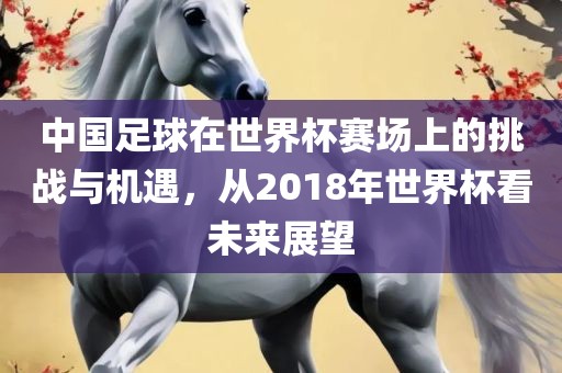 中国足球在世界杯赛场上的挑战与机遇，从2018年世界杯看未来展望