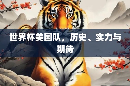 世界杯美国队，历史、实力与期待