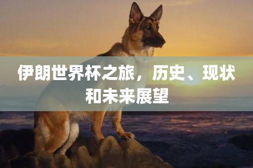 伊朗世界杯之旅，历史、现状和未来展望