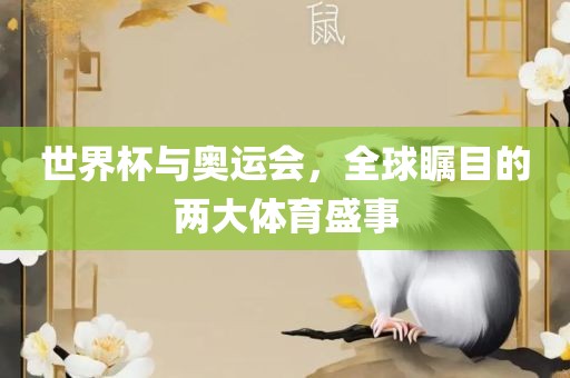 世界杯与奥运会，全球瞩目的两大体育盛事