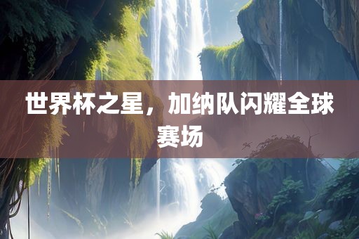 世界杯之星，加纳队闪耀全球赛场
