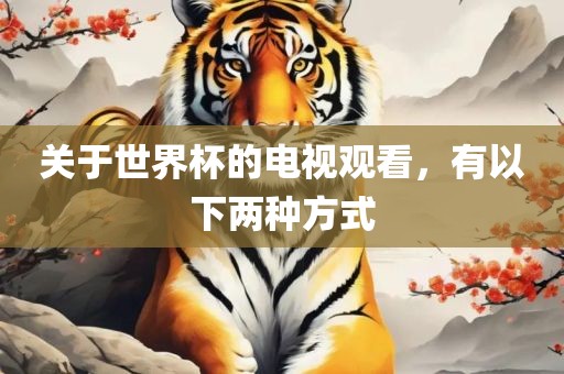 关于世界杯的电视观看，有以下两种方式