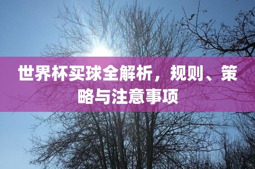 世界杯买球全解析，规则、策略与注意事项