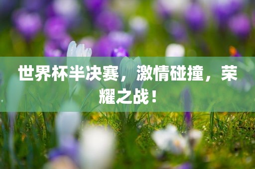 世界杯半决赛，激情碰撞，荣耀之战！