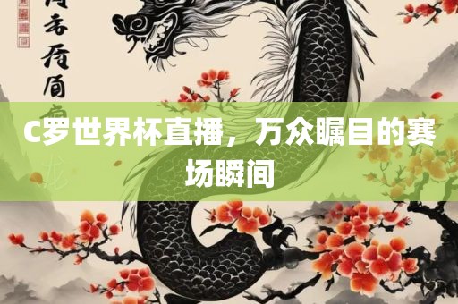 C罗世界杯直播，万众瞩目的赛场瞬间