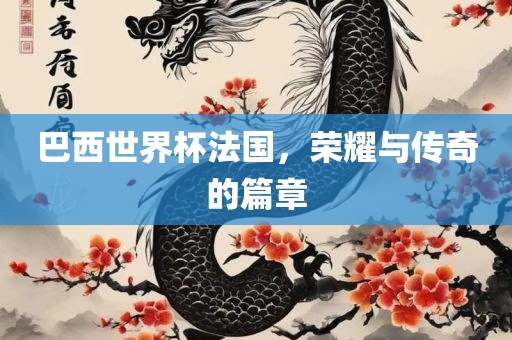 巴西世界杯法国，荣耀与传奇的篇章