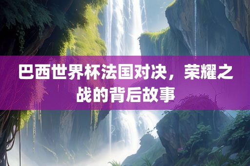 巴西世界杯法国对决，荣耀之战的背后故事