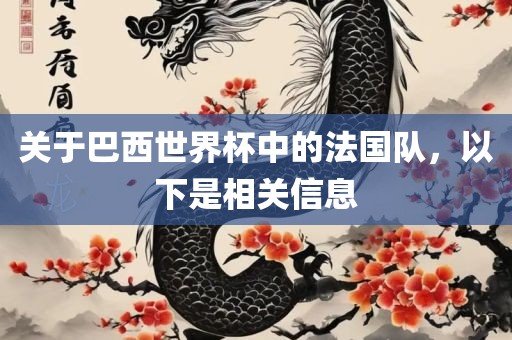 关于巴西世界杯中的法国队，以下是相关信息