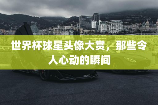世界杯球星头像大赏，那些令人心动的瞬间