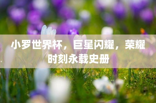 小罗世界杯，巨星闪耀，荣耀时刻永载史册